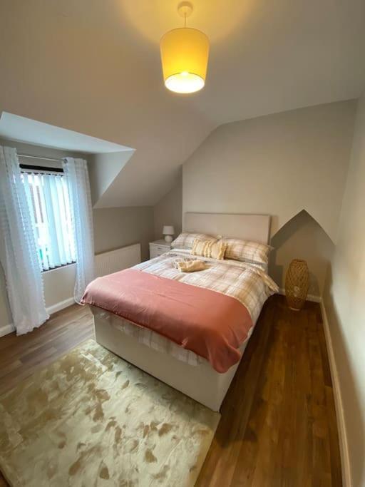 The Cozy Homestay Belfast Zewnętrze zdjęcie