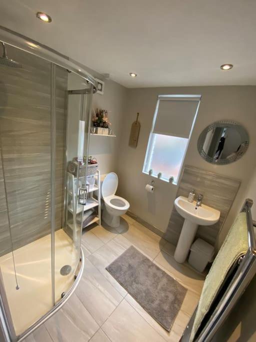 The Cozy Homestay Belfast Zewnętrze zdjęcie
