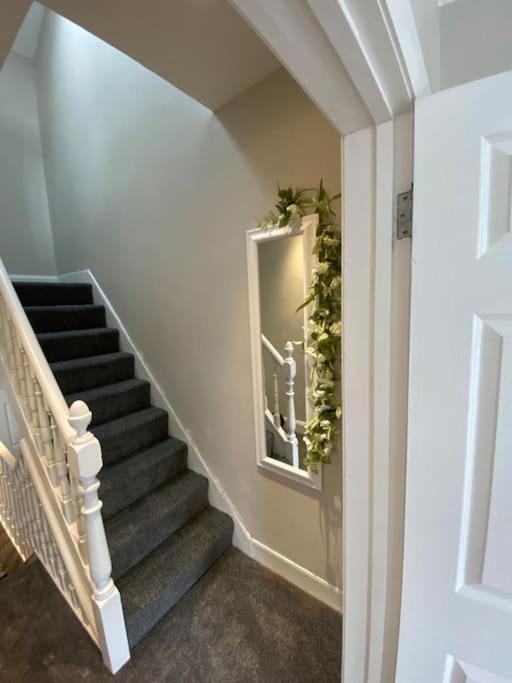 The Cozy Homestay Belfast Zewnętrze zdjęcie